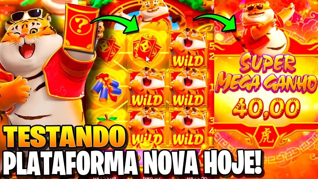 o que é casino imagem de tela 4