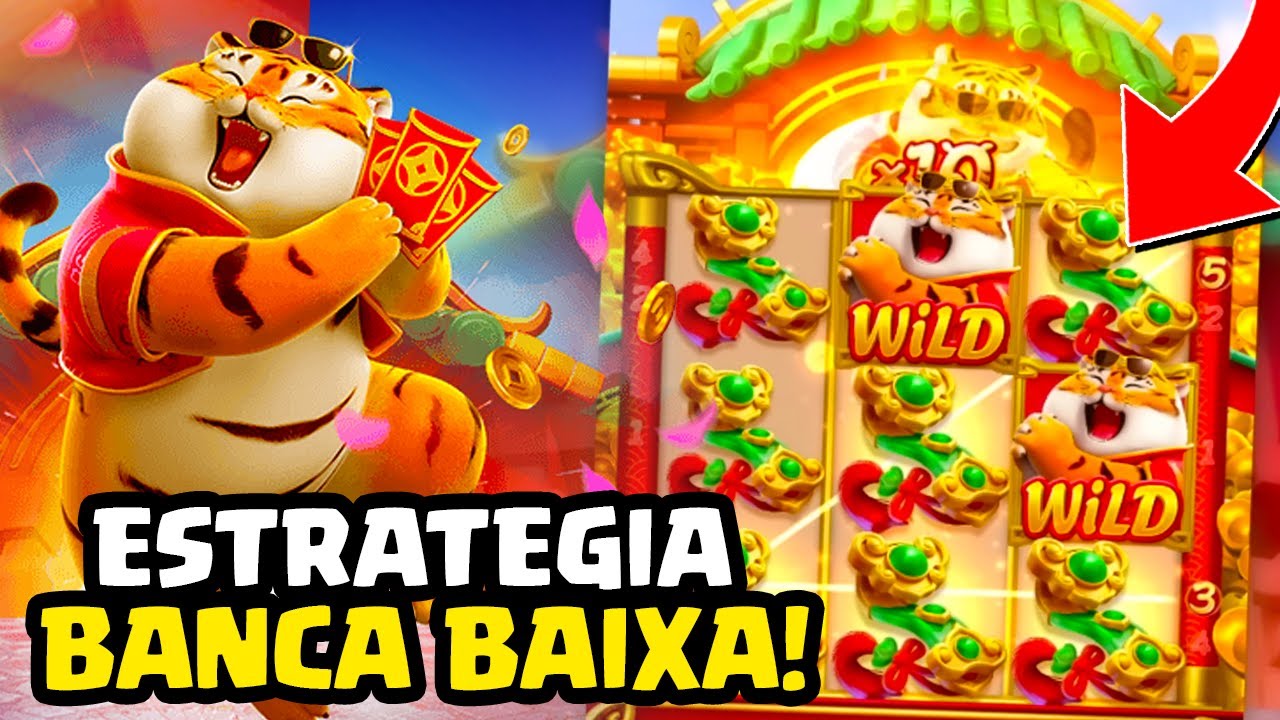 os melhores horarios para jogar fortune tiger tiger Cartaz