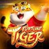 tigre slot png ícone